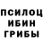 Псилоцибиновые грибы Psilocybine cubensis Qemlo Umbayev