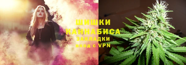 твердый Надым