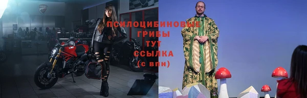 твердый Надым