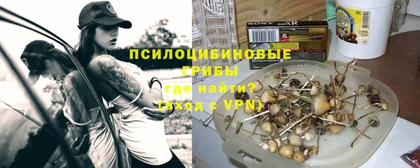 МДПВ Навашино