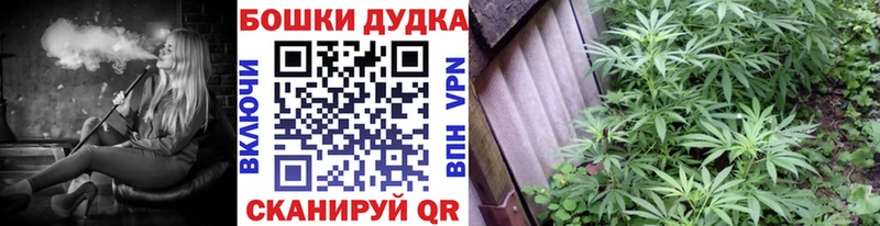 Конопля MAZAR  купить  сайты  Сурск 